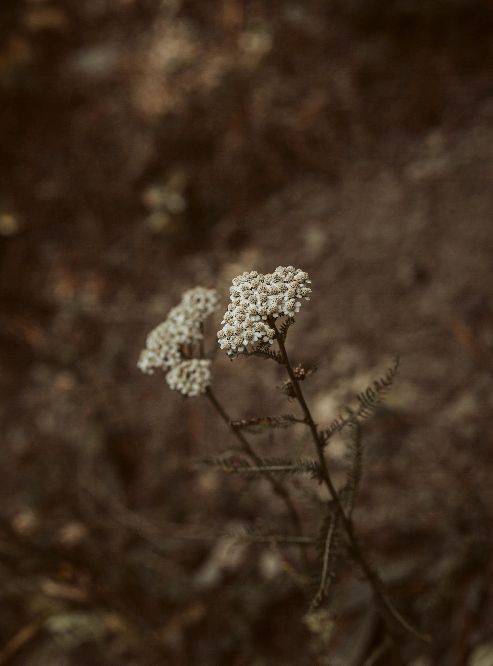 丨法国丨AID architecten-19