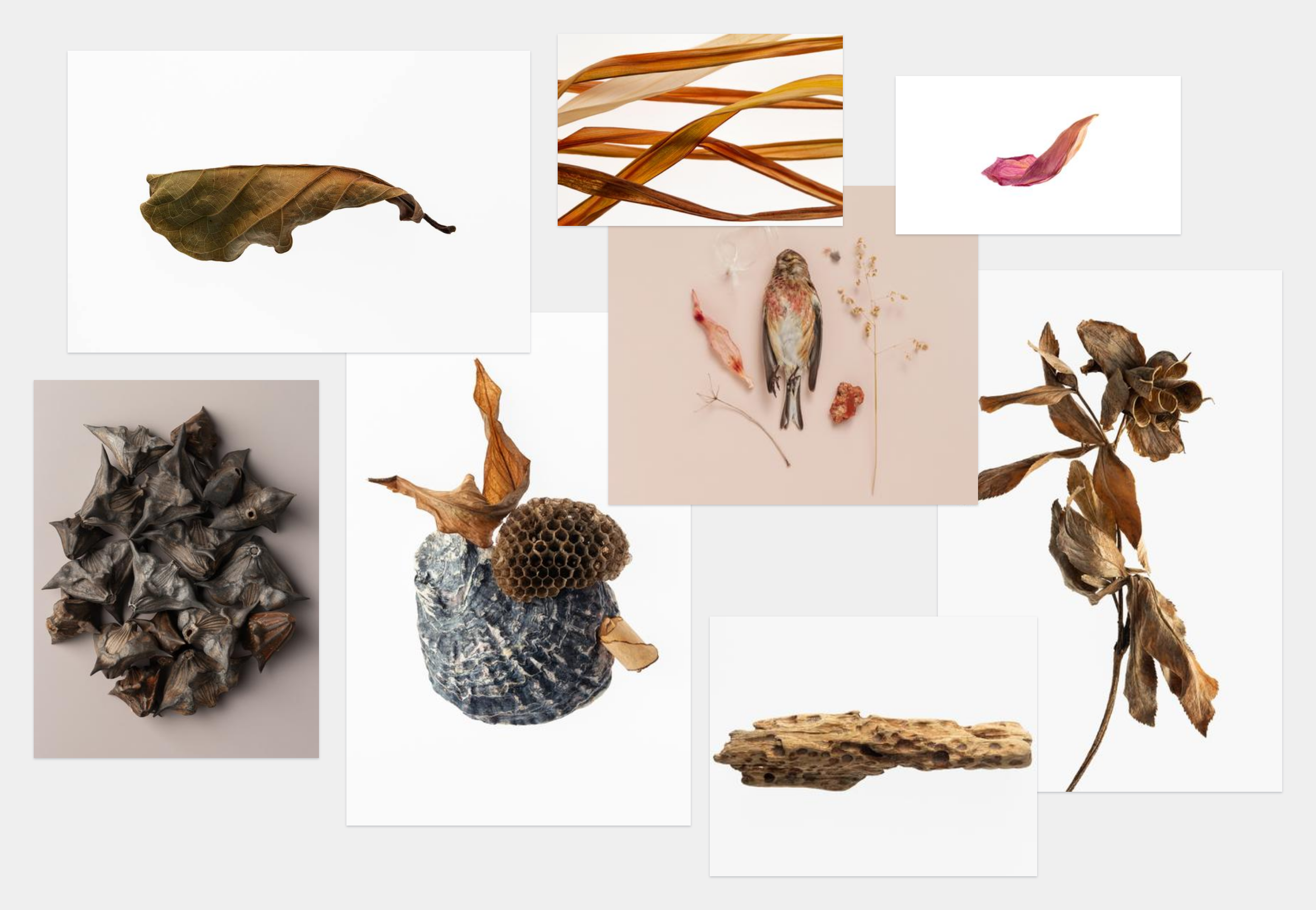 TorriPhoto摄影创作项目-24