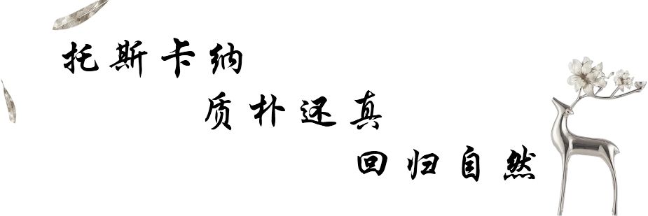 源于文艺复兴的伟大复刻丨品味长兴的托斯卡纳-6