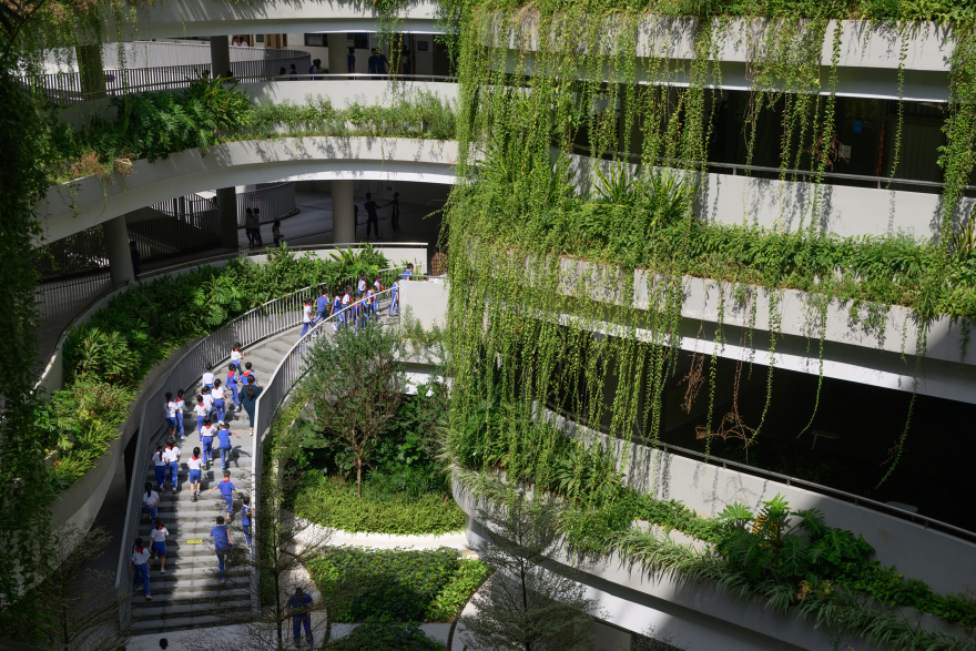 红岭教育集团 华富实验学校丨中国深圳丨大小景观,深圳市建筑设计研究总院有限公司,广州天泓-32