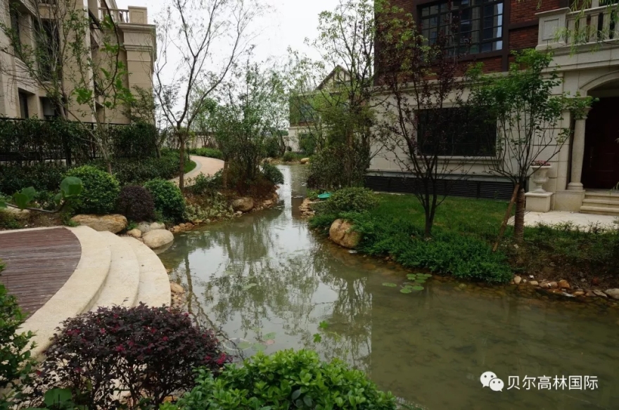 合肥新华•御湖庄园-83