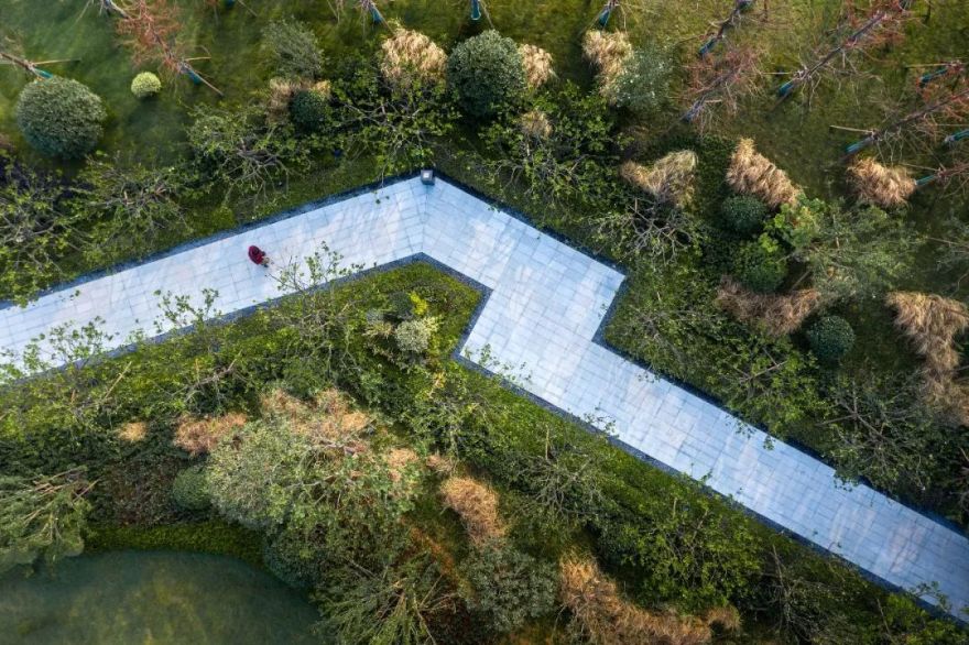 森林公园变奏曲 | 合肥北城正荣府示范区-47