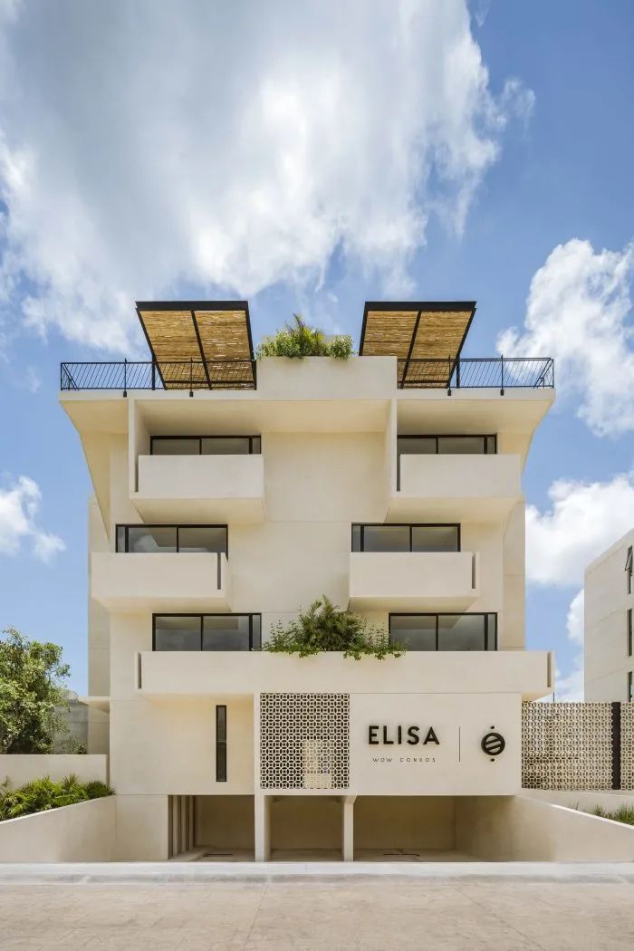 Elisa Wow 公寓丨墨西哥丨Live Desarrollos-3