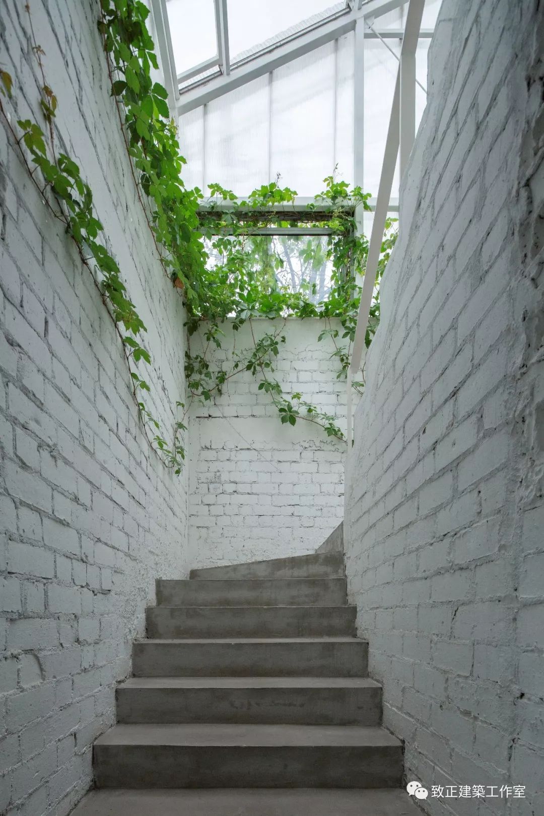 西岸工作室的绿意生活-43