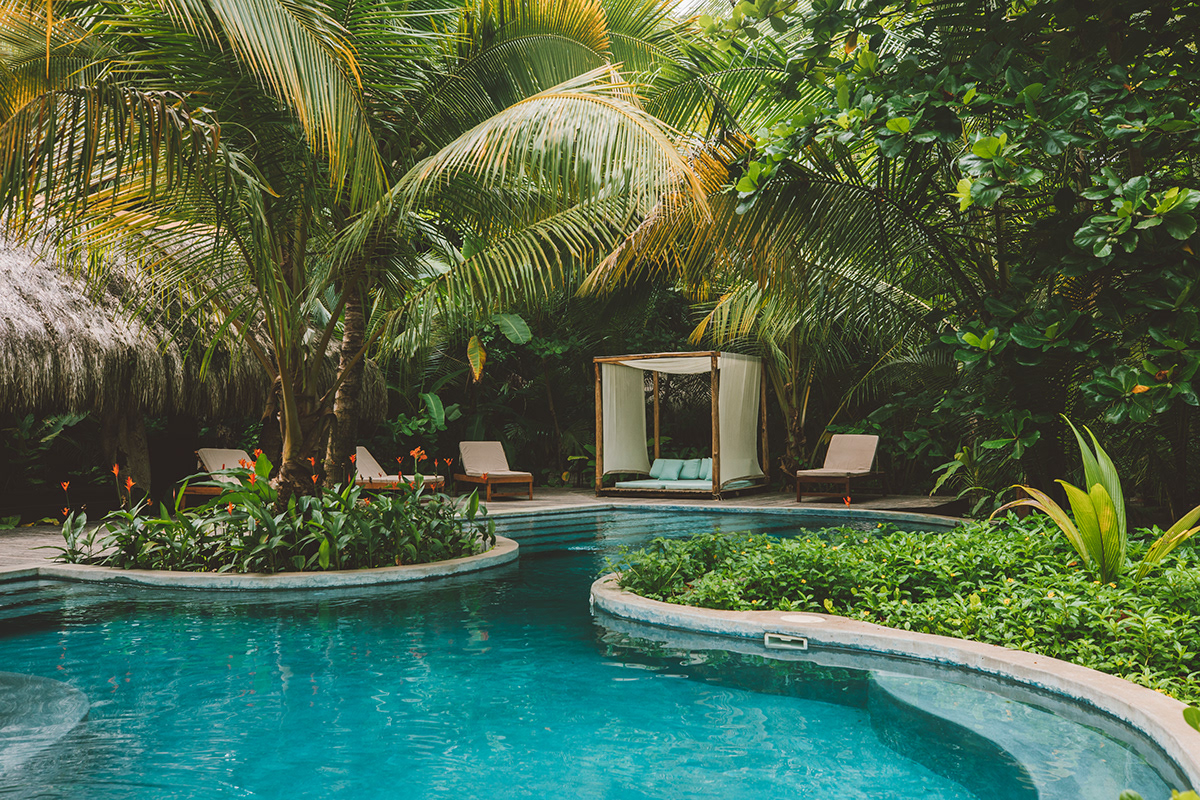 Cayuga Collection 绿色之旅丨哥斯达黎加丨Giulia Woergartner-18