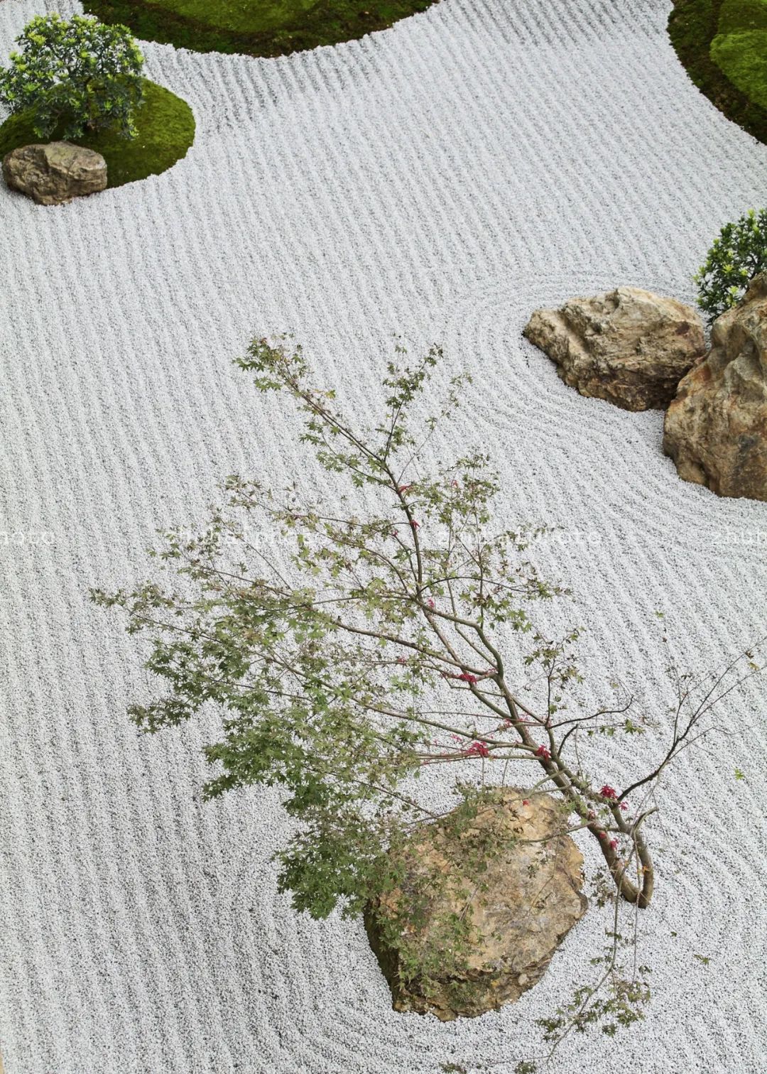 杭州天目里庭园设计丨中国杭州丨日本造园设计事务-54