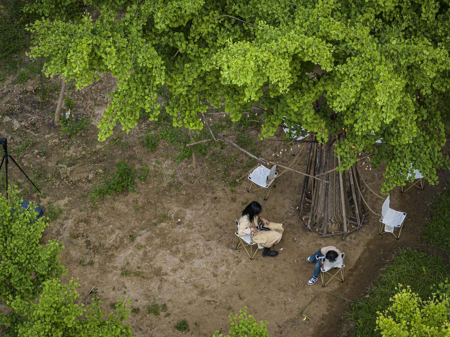 竹装置·Tree of Life丨中国北京丨UK Studio-6
