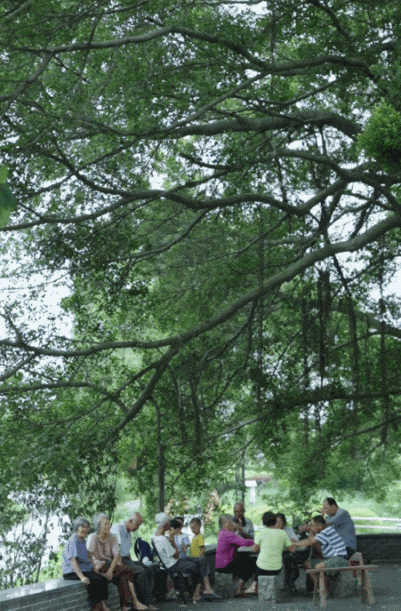 无墙之家 · 佛山 60 后爷爷的 360°全屋透明住宅丨中国佛山丨無名营造社-25