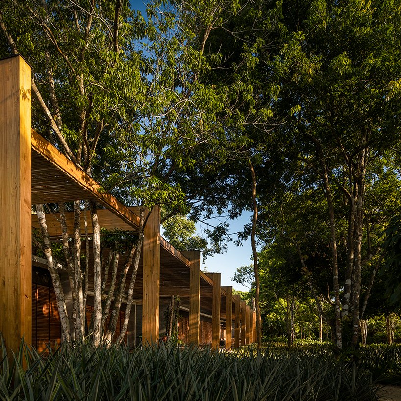 巴西热带海岸上的“沙屋”-42