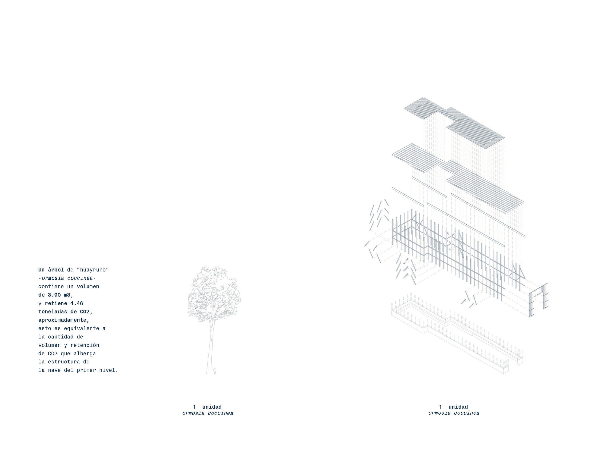丨秘鲁利马丨INSITU oficina de Arquitectura-29