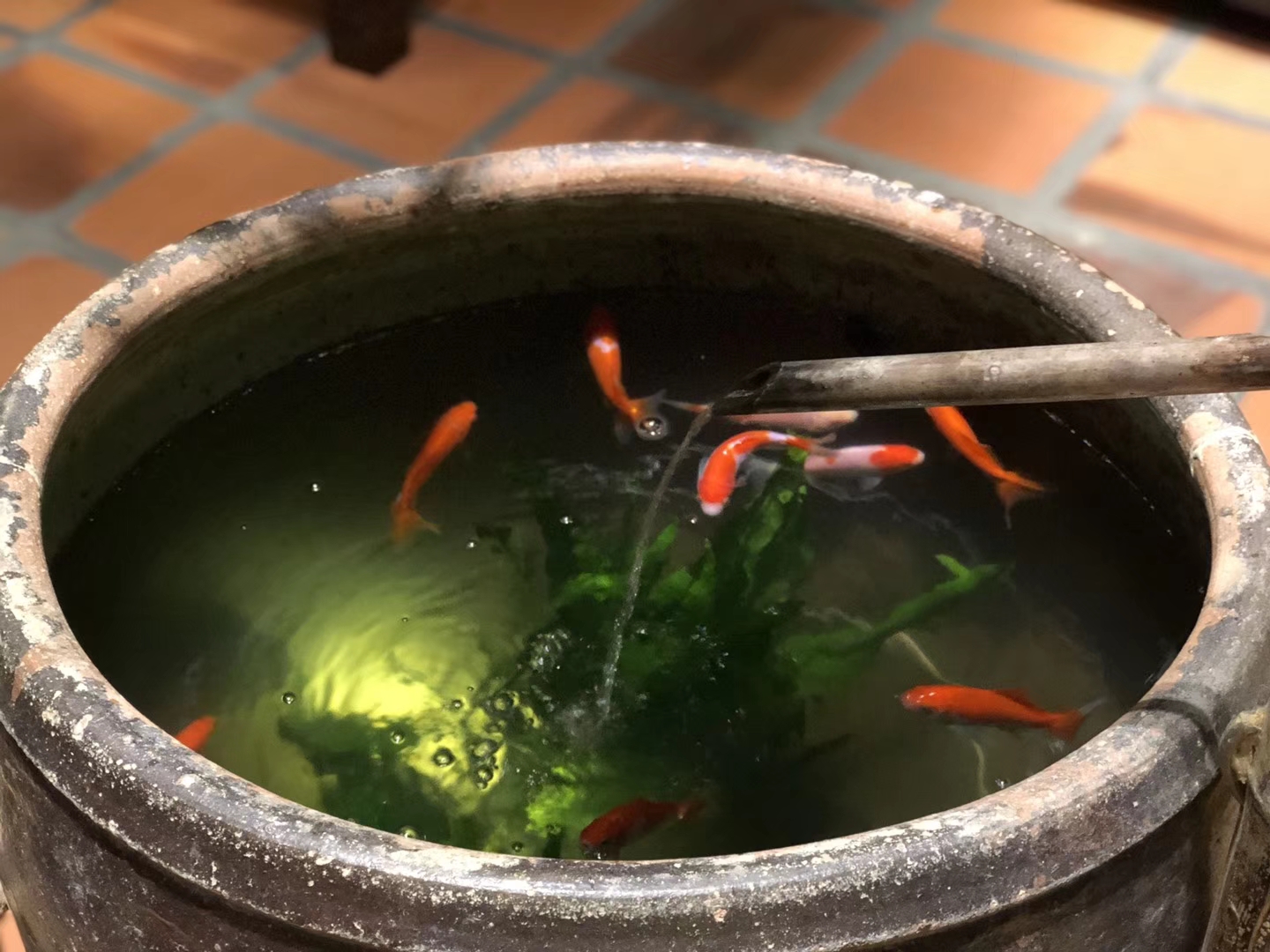 牧渔人家-问味堂（私房菜馆）-16