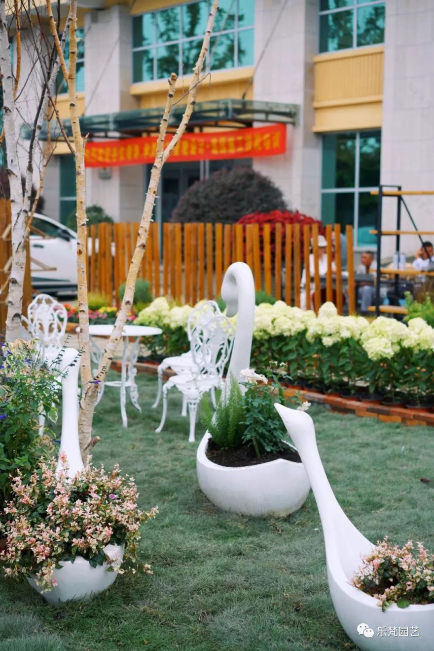 乐梵园艺打造成都花木博览会快闪花园,惊艳全场-30