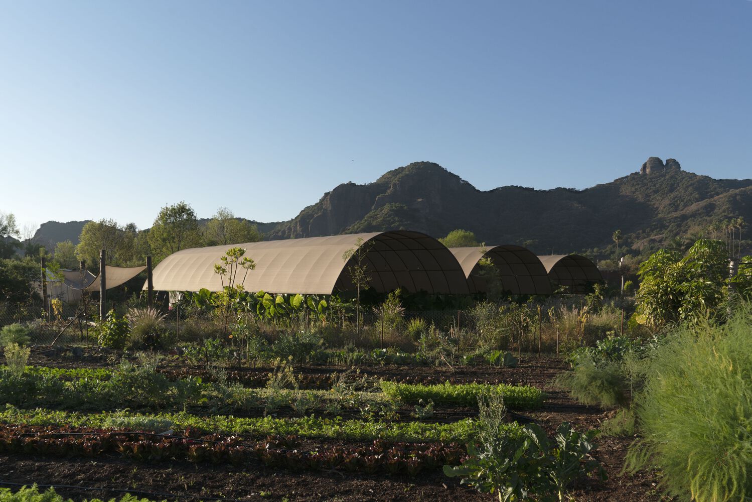 有机餐厅环保设计-1