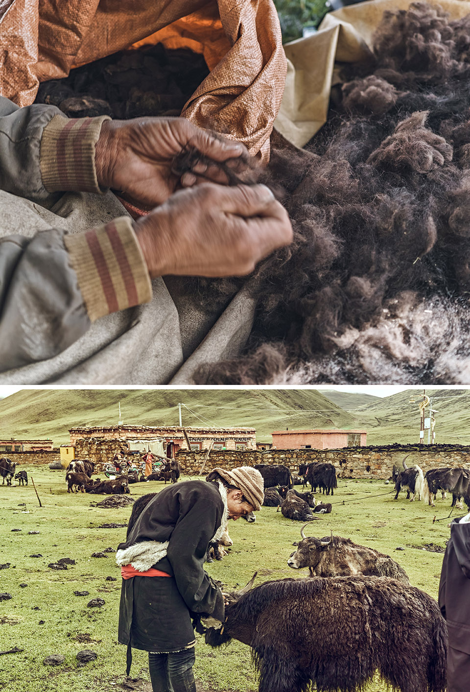 大乐之野（德钦梅里雪山店）丨中国云南丨上海末广设计事务所-134