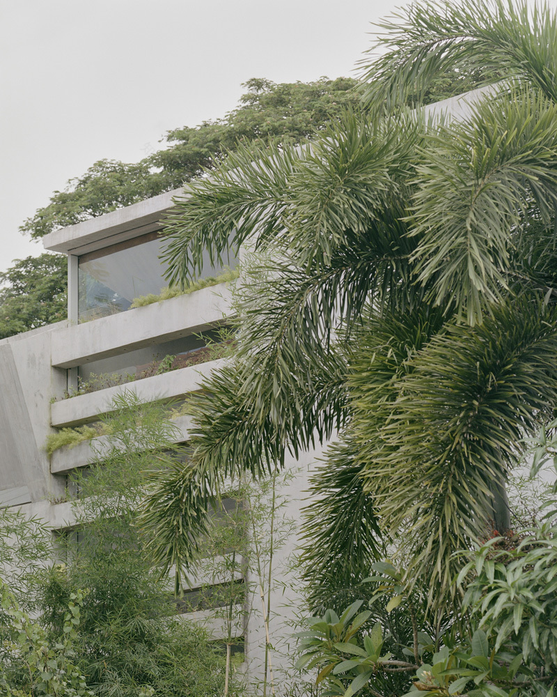 FR 住宅丨菲律宾丨CAZA-6