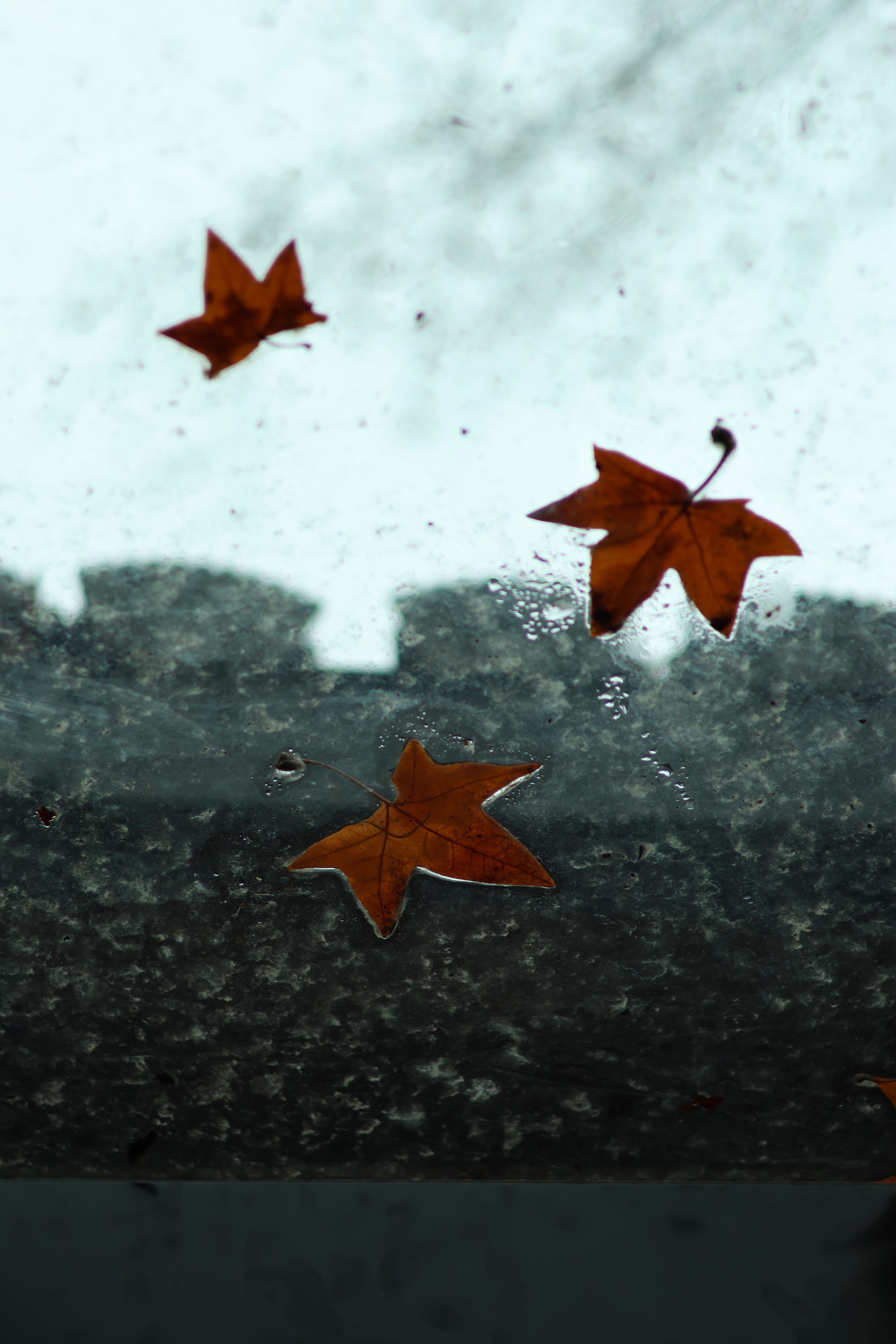 留白.实景｜藏在古城里的婚礼策划工作室-14