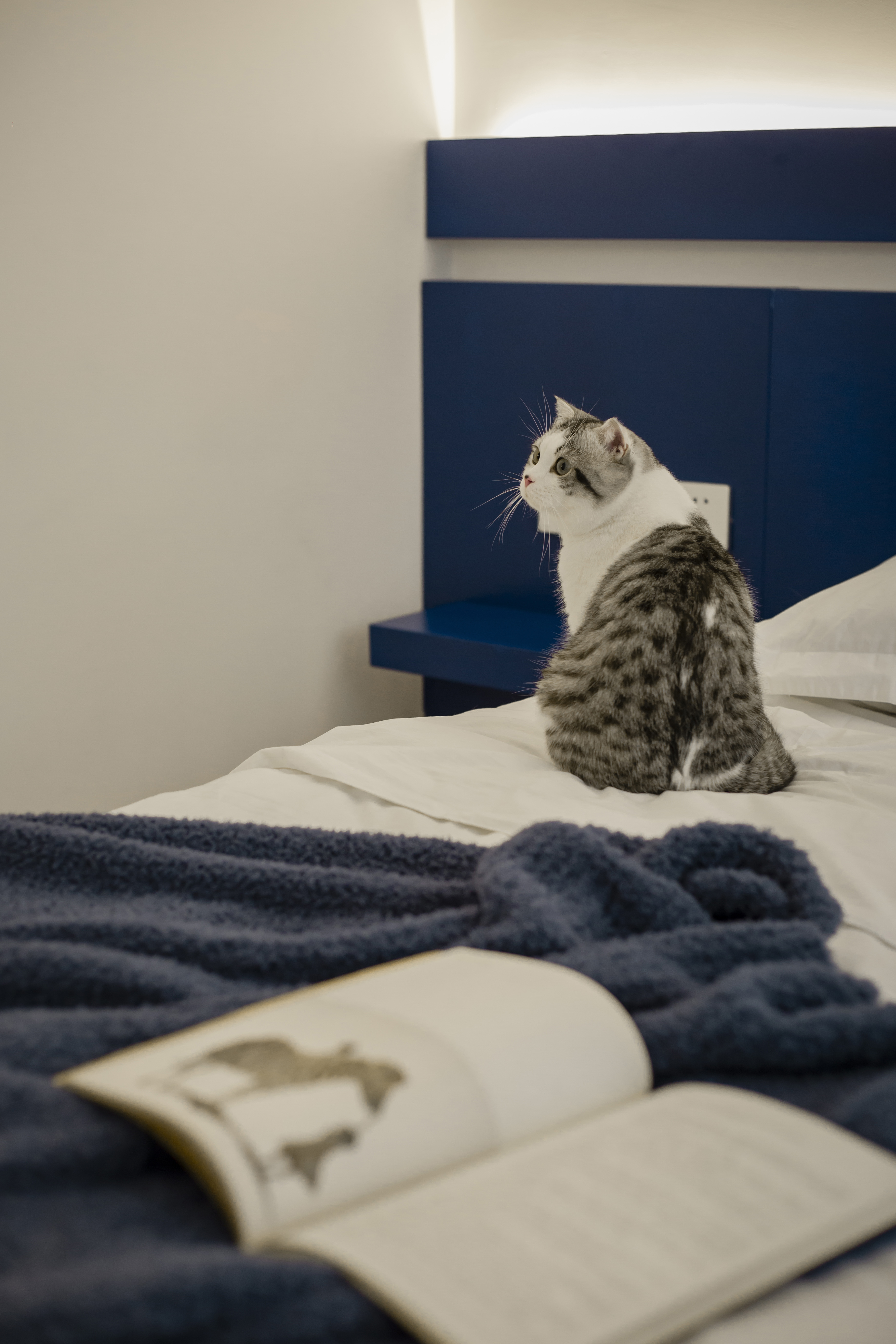 95 后超现代生活空间设计丨中国沈阳丨陈铁,周云艳-50