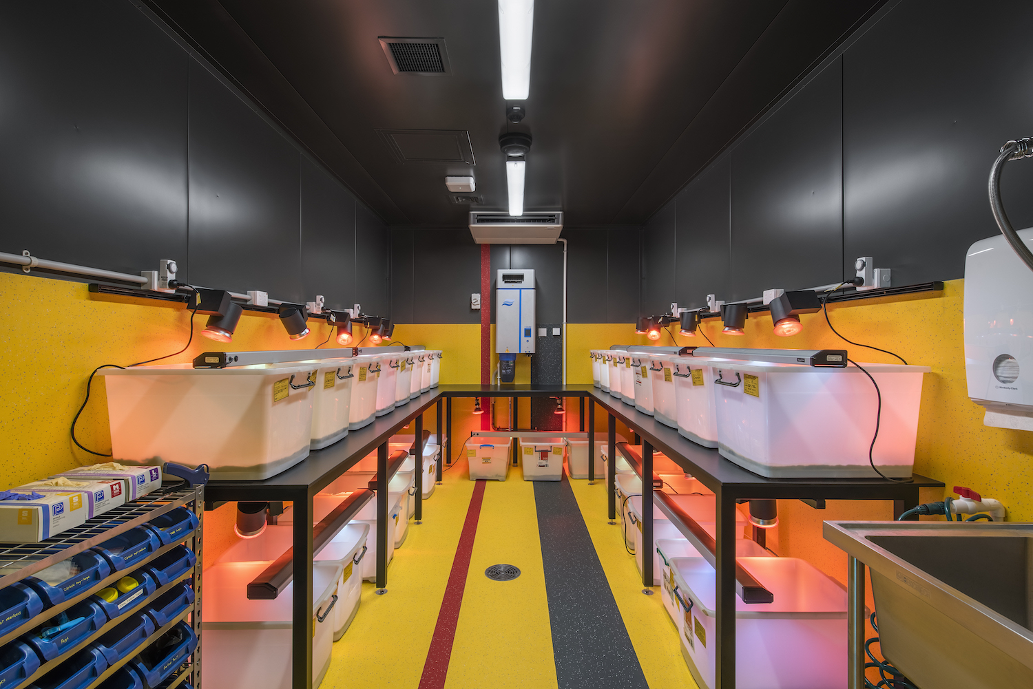 Flinders University Biodiversity Facility | H2o Architects-19