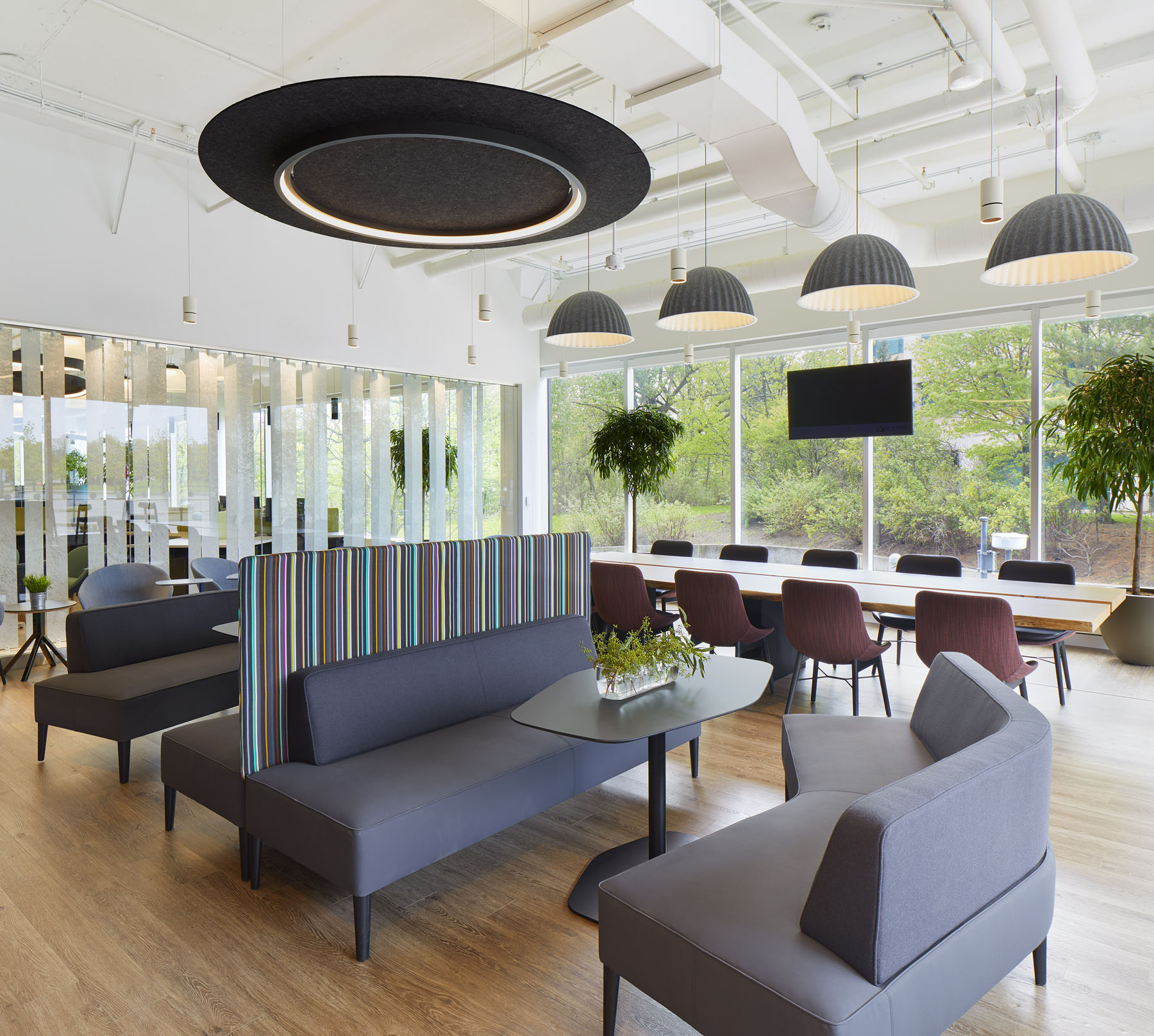 多伦多 Volaris 总部办公空间设计丨加拿大多伦多丨Bartlett & Associates-17