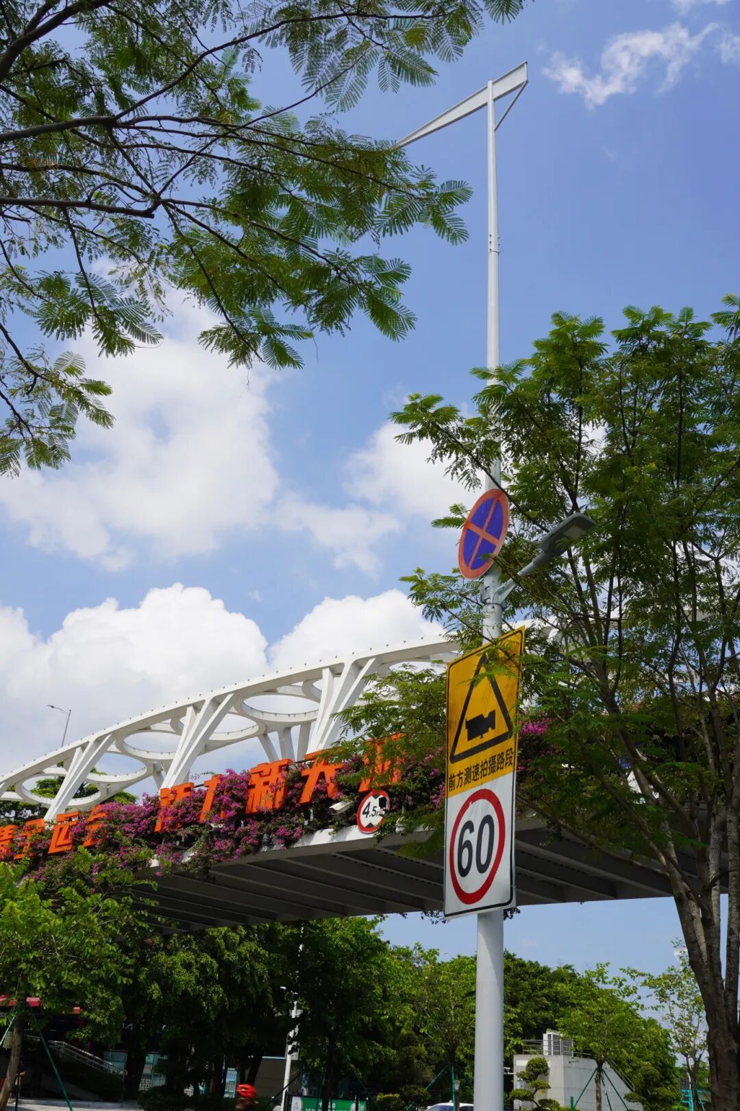 贯彻中央城市工作会议精神·总院实践录②｜广州市政总院助力市政道路合杆整治试点赋能城市品质-41