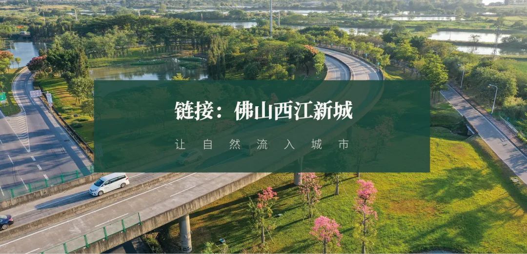 广东绿色生态建设案例展示丨中国广东丨普邦股份-145