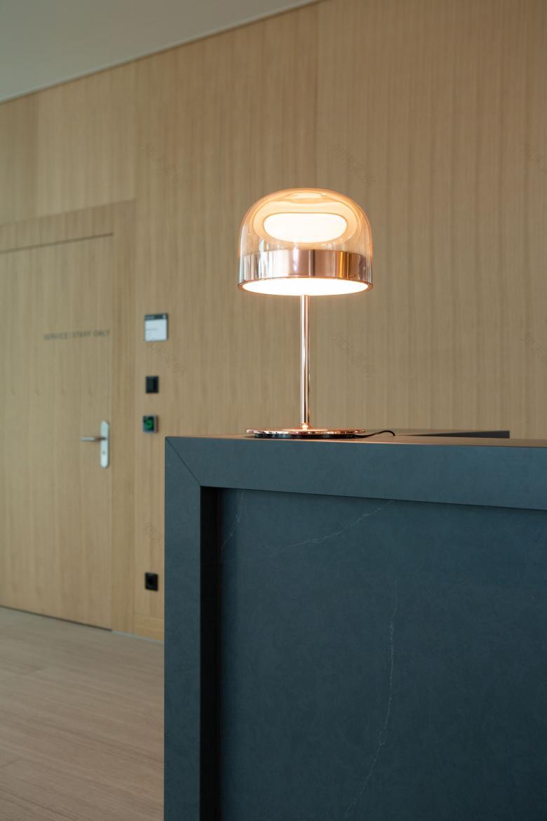 Cosentino Swiss AG丨Hyatt Regency Silestone丨瑞士-5