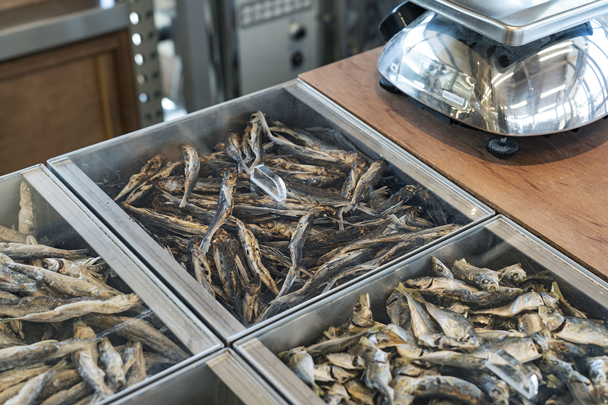 丨日本三重丨Jo Nagasaka/Schemata Architects-1