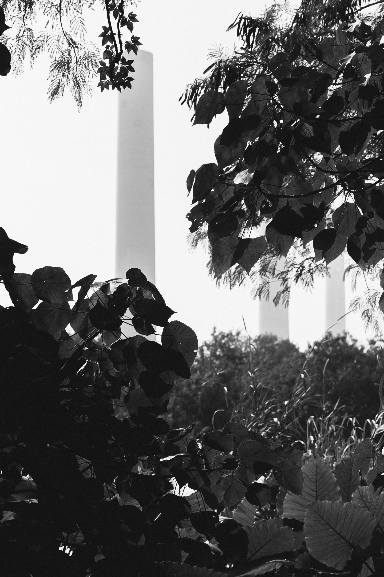 海拔；高度；海拔高度丨Raphael Kadid Studio（Raphael Kadid）-9