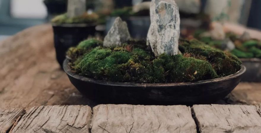 精选设计旅馆丨日本丨原研哉-76