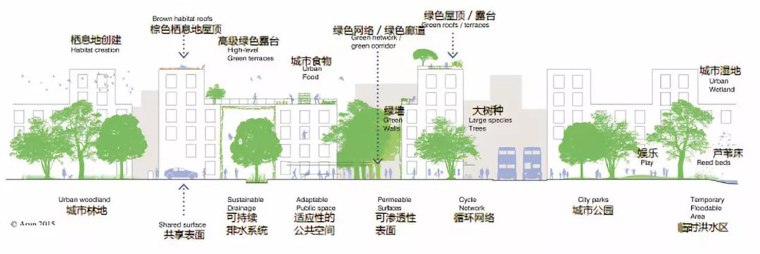 水设计新思维 | 蓝绿灰色基础设施提升城市韧性-14