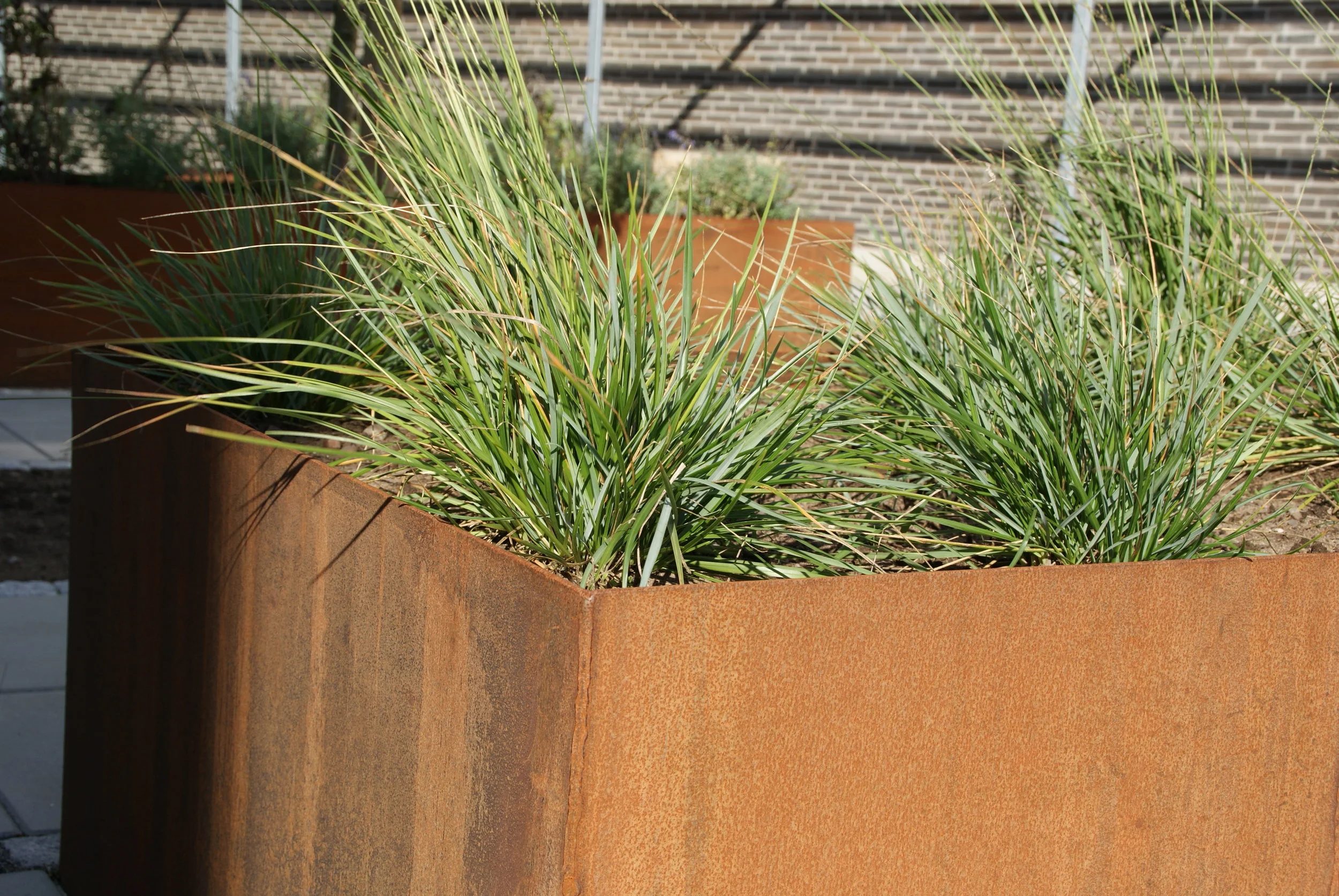 冯西尔兹花园康复中心（注：Plejecenter可能是专为特定康复中心造的词结合前文意思可推测是康复中心之类的意思，Vonsild是人名或地名，Have为花园的丹麦语，这里结合情况意译） -31