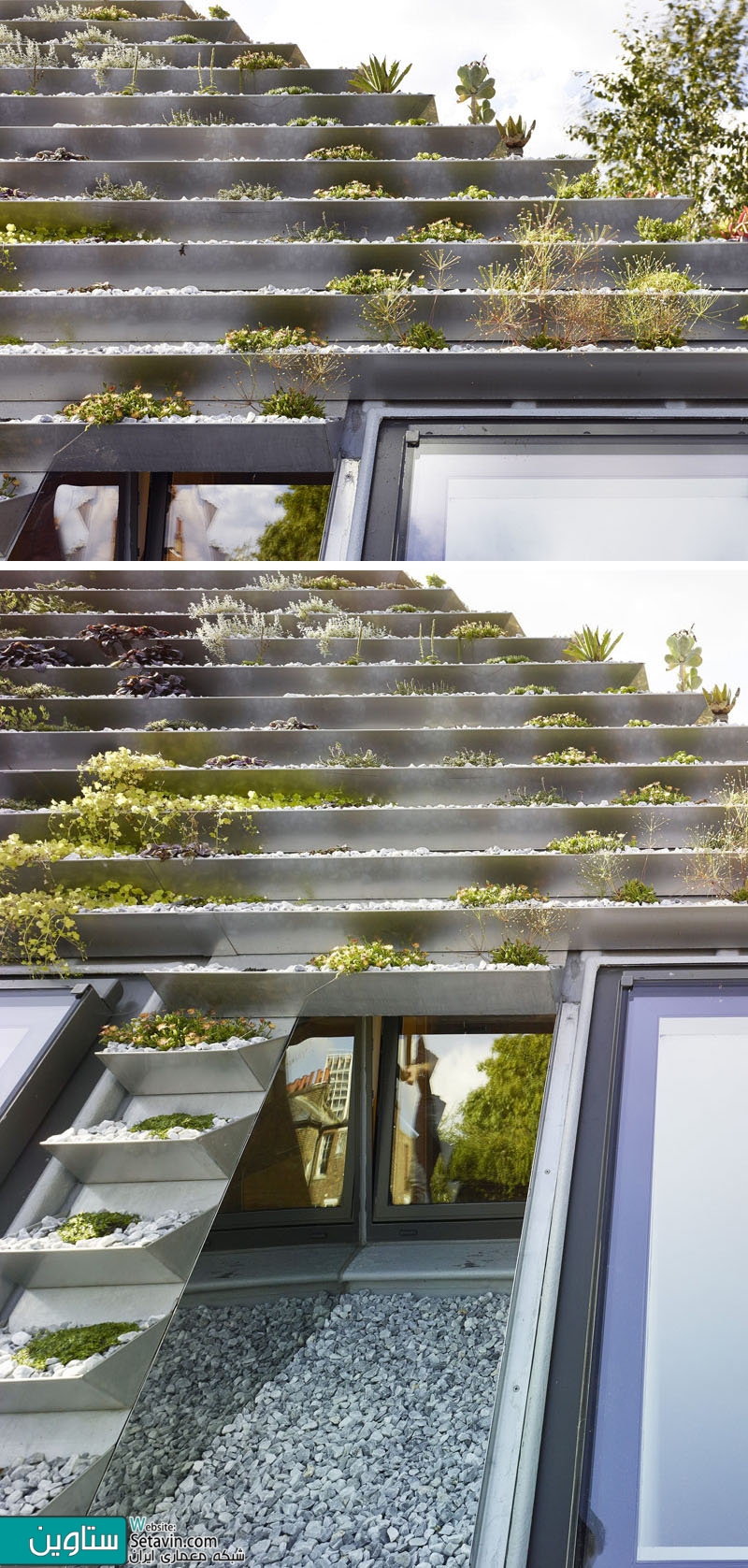 伦敦特色绿色屋顶房屋及工作室丨英国伦敦丨Hayhurst and Co-9