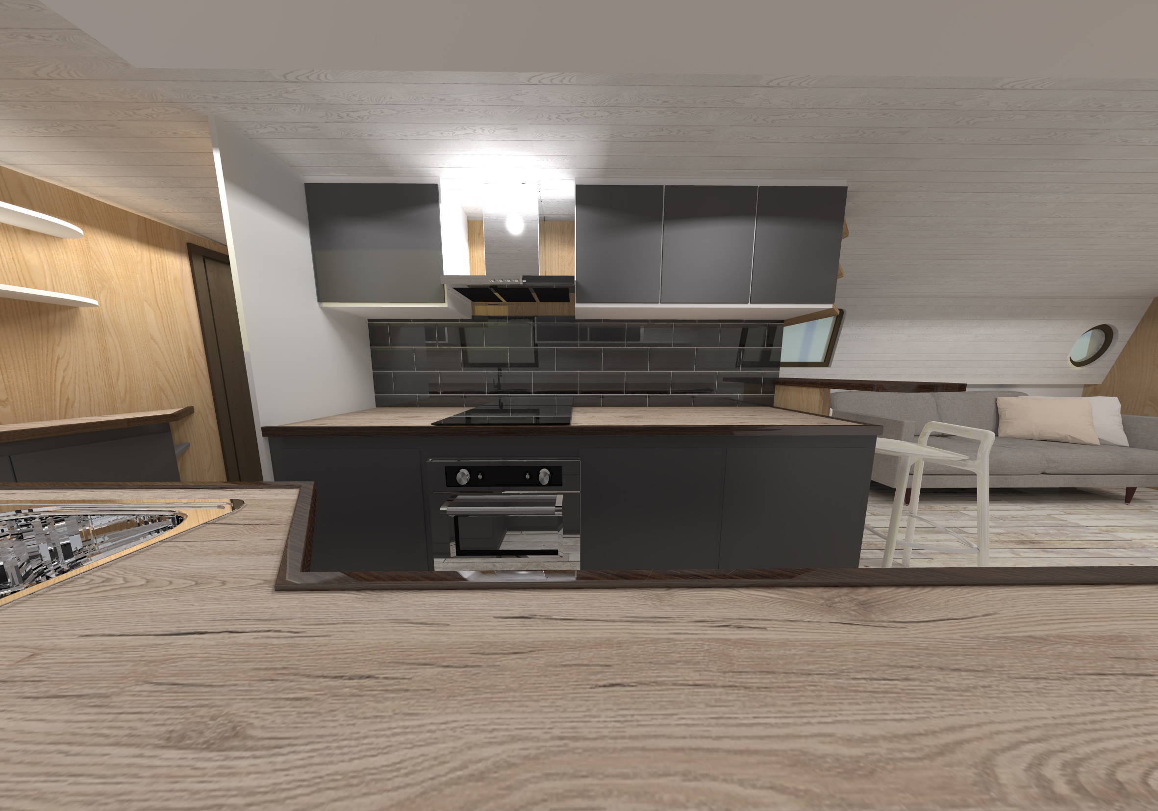 CANAL BOAT SERENDIPITY logo and interior-39