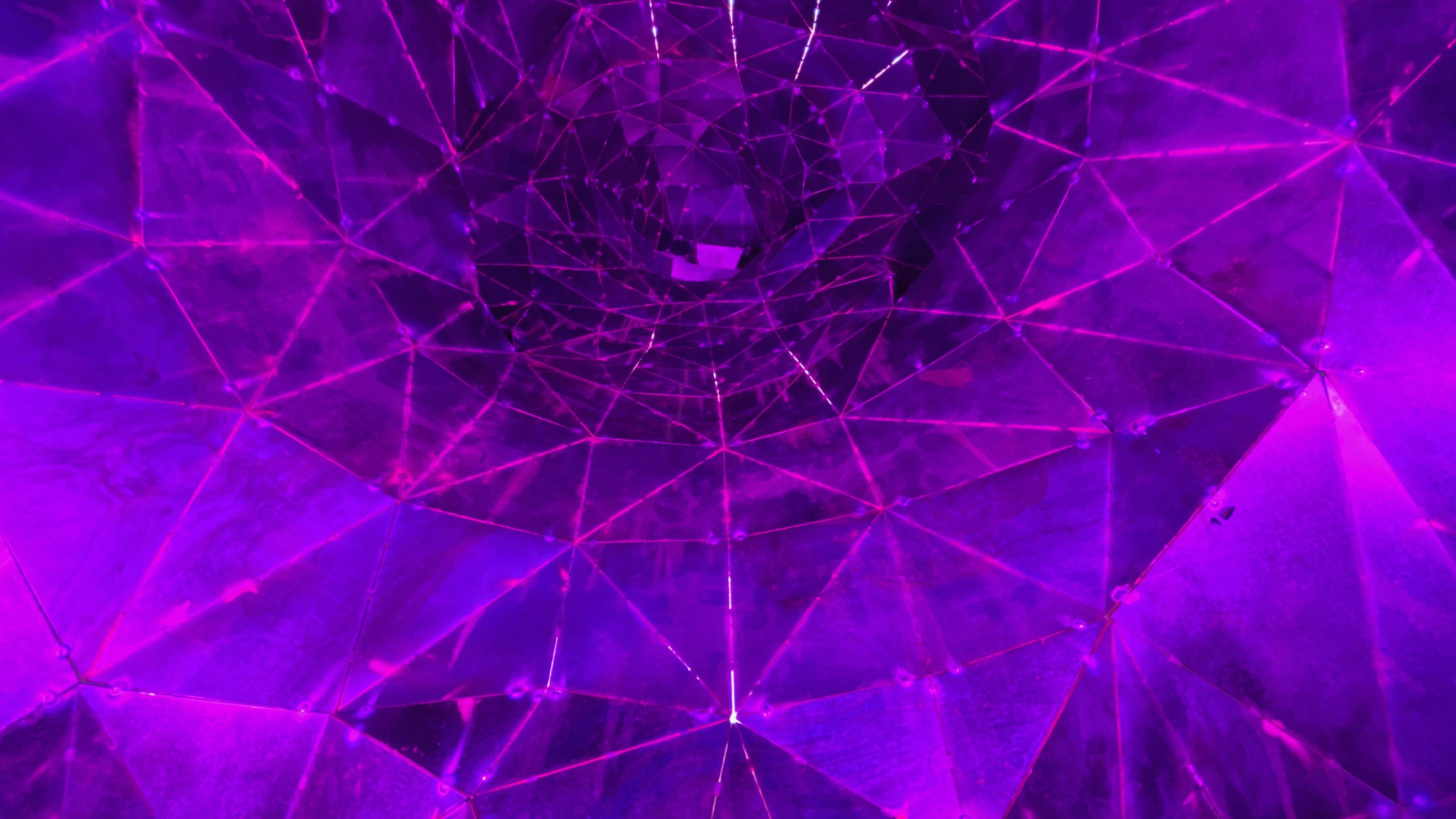 Ursus Americanus Luteolus - Black Bear Golf Club 2022-8