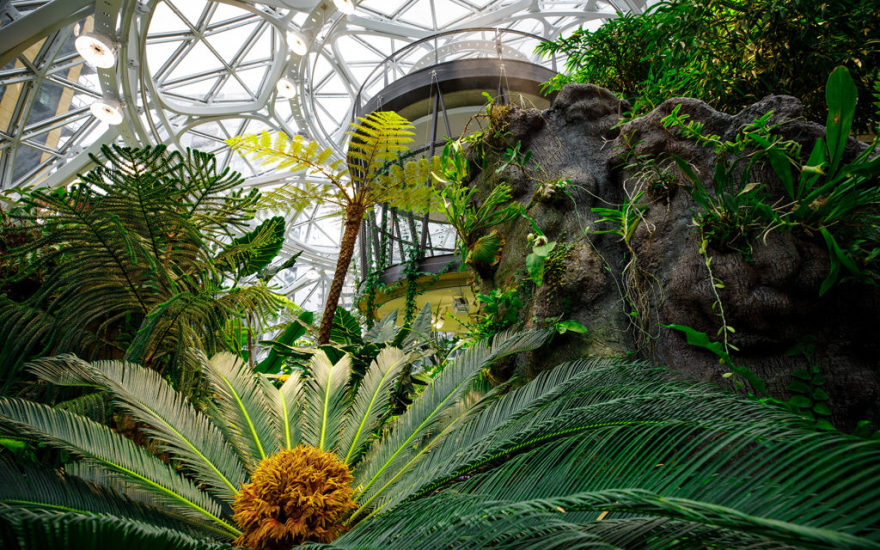 The Spheres(亚马逊西雅图总部球体建筑)丨美国西雅图-1