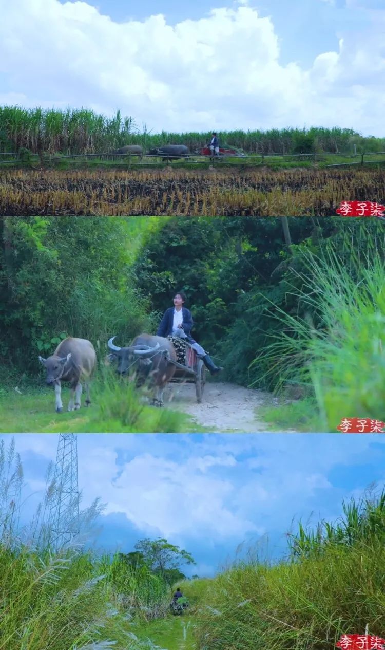 李子柒家居搭配揭秘 | 世外桃源的创意设计-29