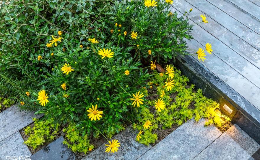 佘山边的自然美式田园之家-19