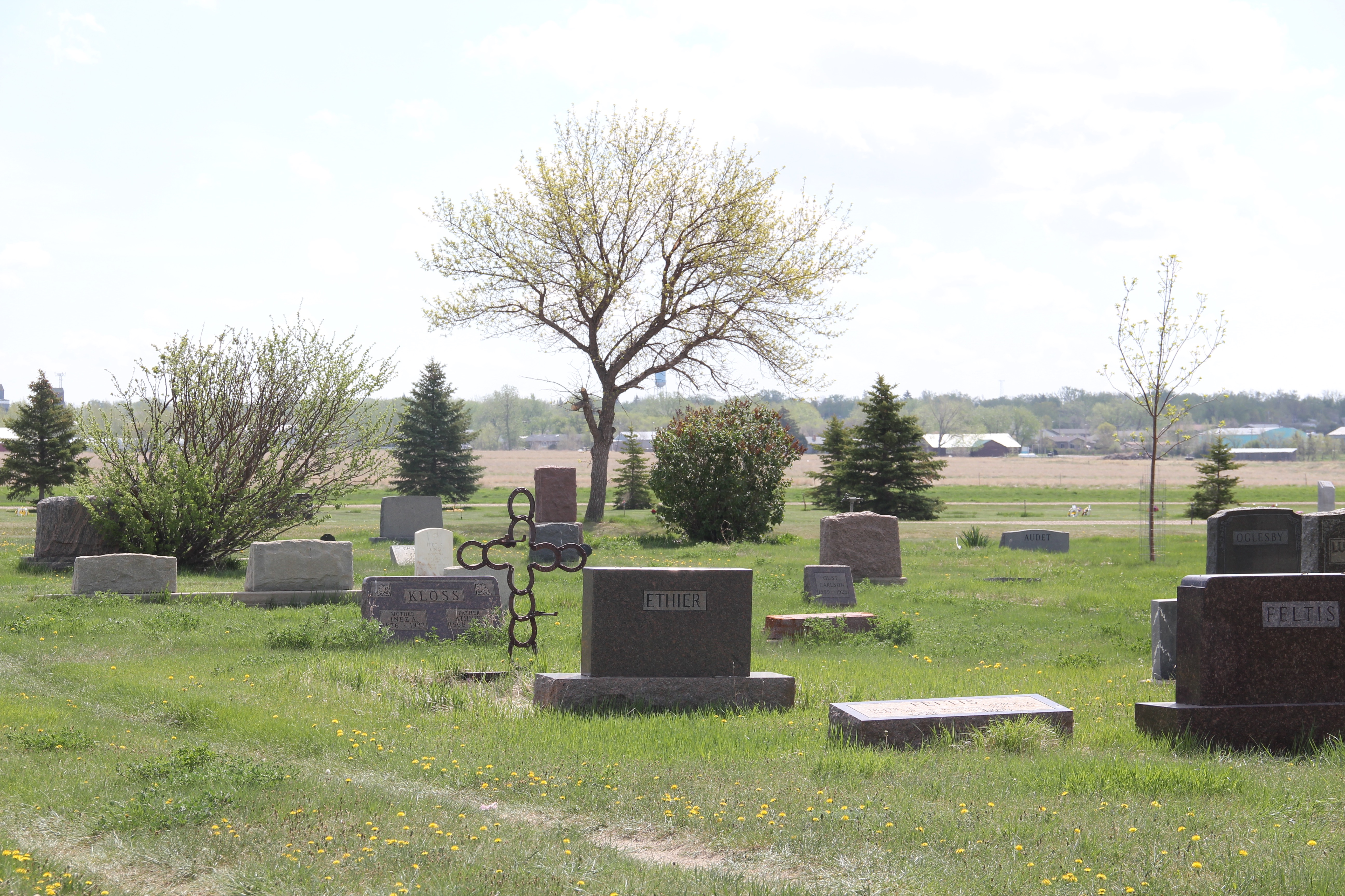 Scobey（丹尼尔斯县县城）建筑相关情况介绍丨美国蒙大拿-42