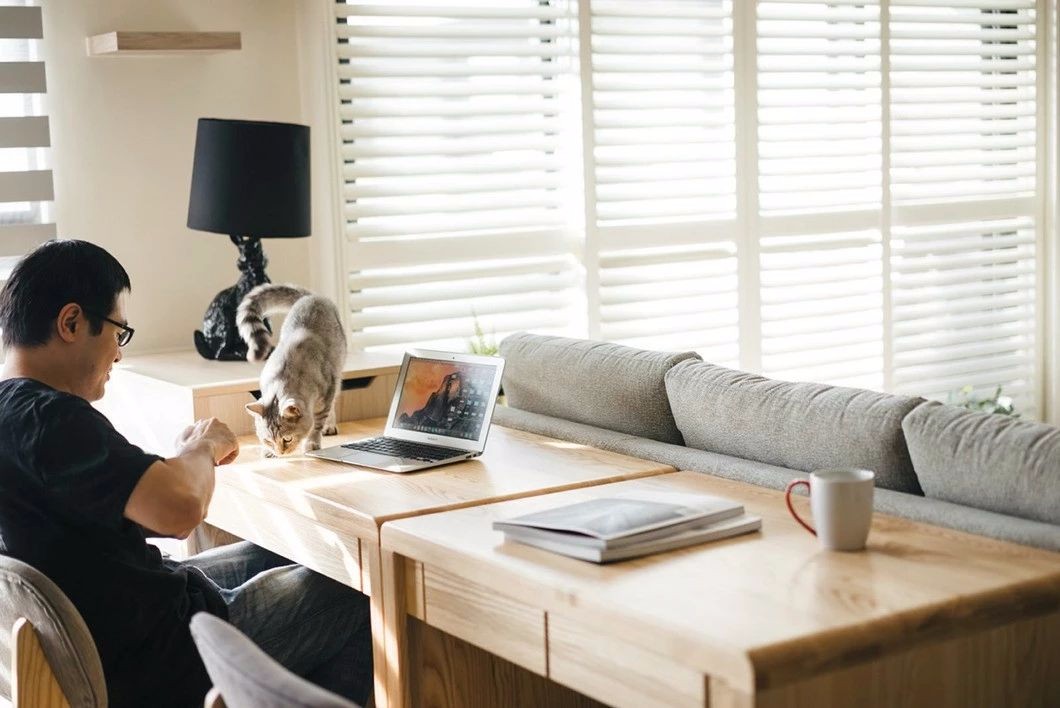 猫奴专属家居设计,打造猫咪欢乐空间-29