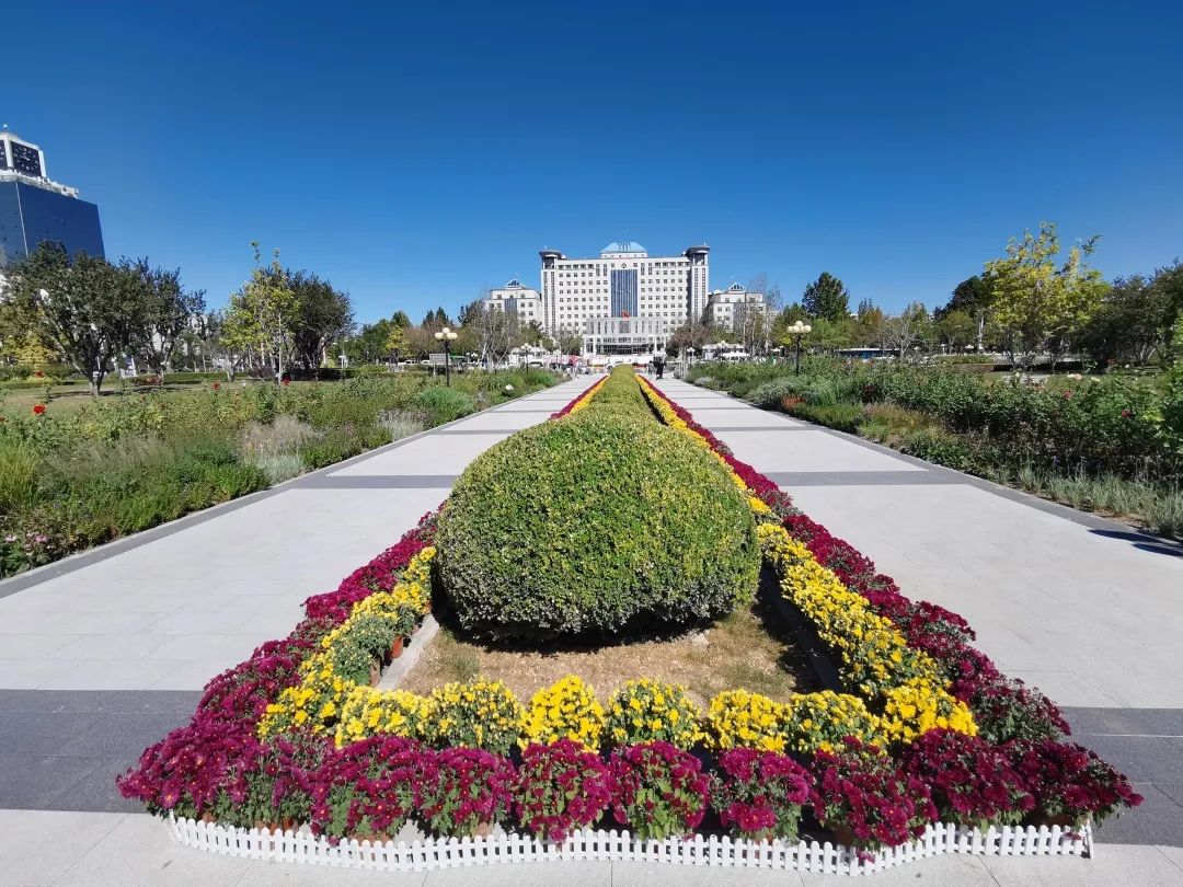 房山府前广场“拆栏透绿”改造丨中国北京丨房山区园林绿化局-2