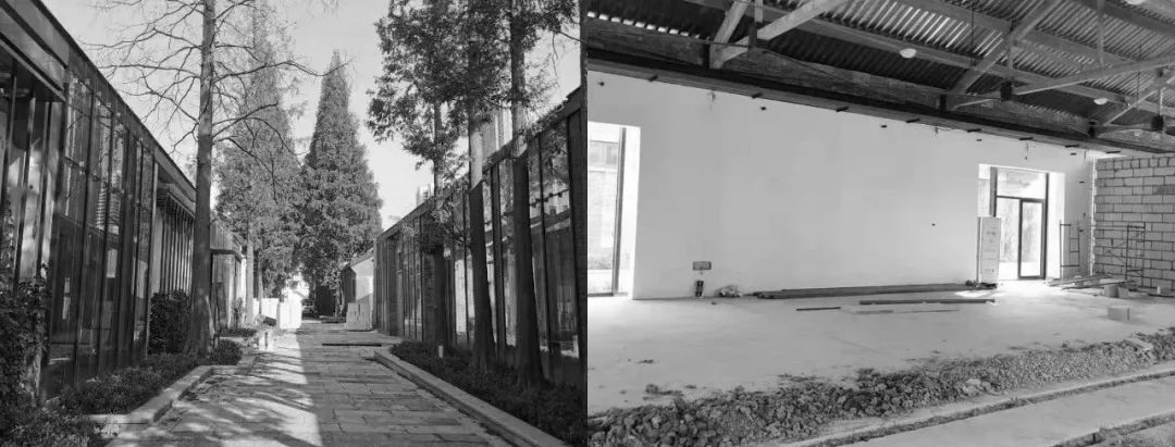 淮安“VISION YAN”摄影空间 | 黑白极简与绿植活力的完美结合-8