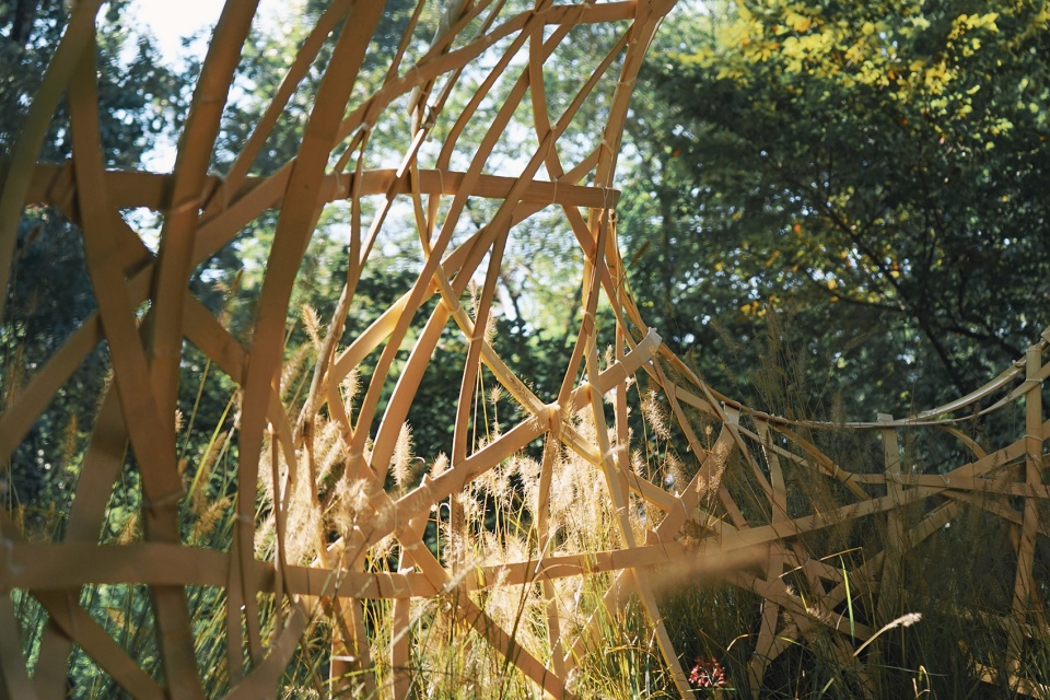 北林国际花园建造节获奖作品 | “黑洞”与“樊笼”-73