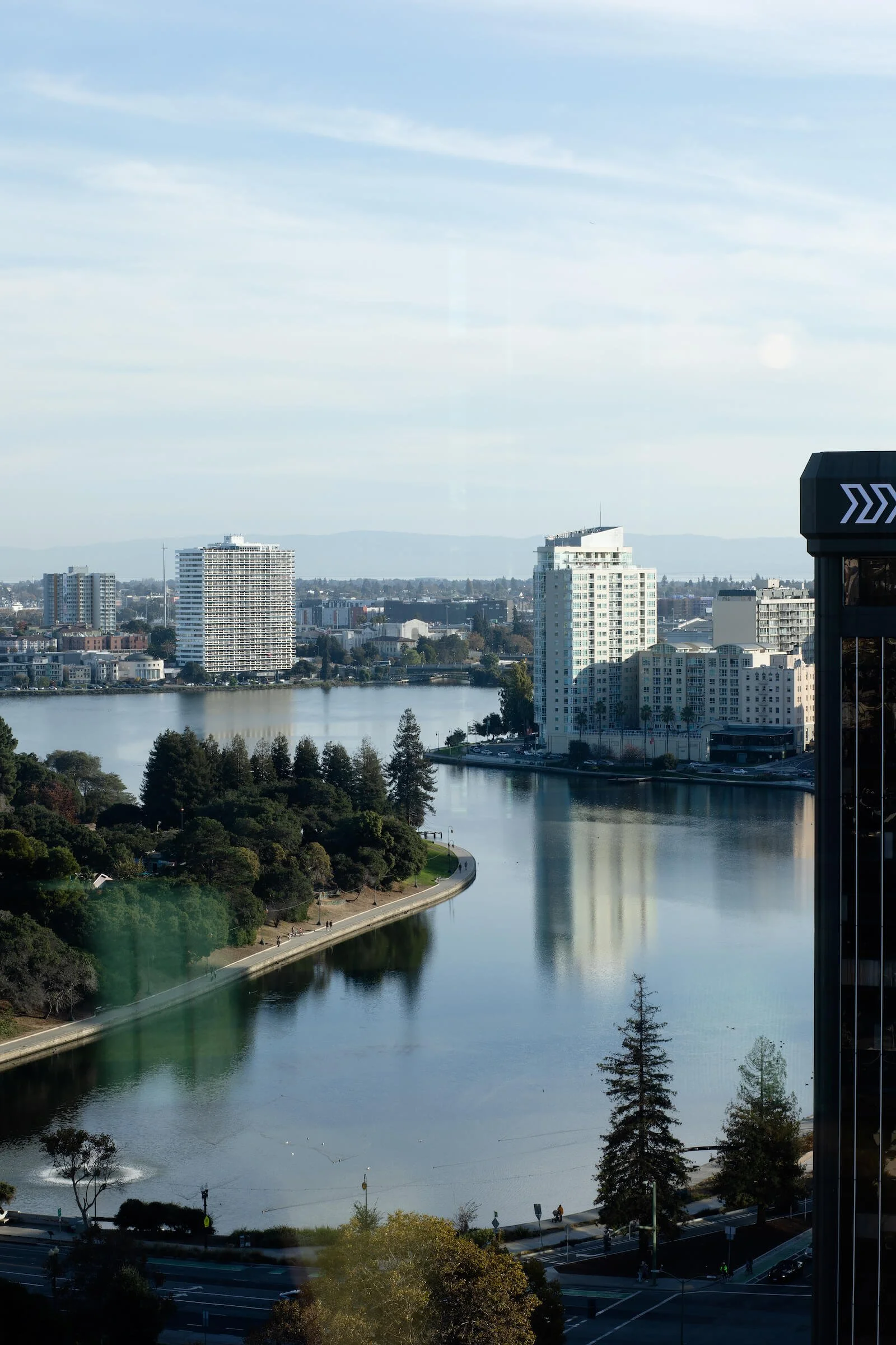 丨美国丨Vida Design-7