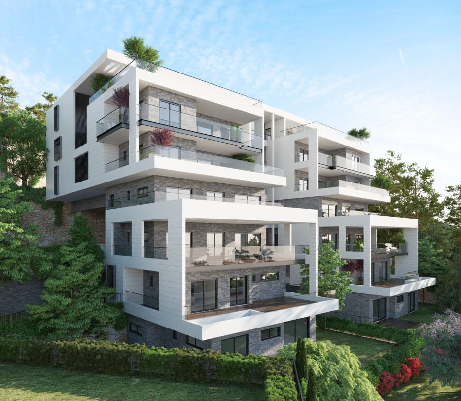 cows - Ando Studio-7