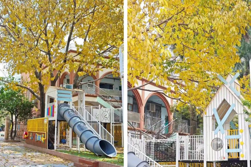 50㎡沙池逆袭记:“微改造”撬动民办普惠园竞争力丨牧童托幼-31