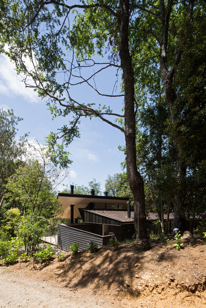 智利湖边 Y 型别墅-54