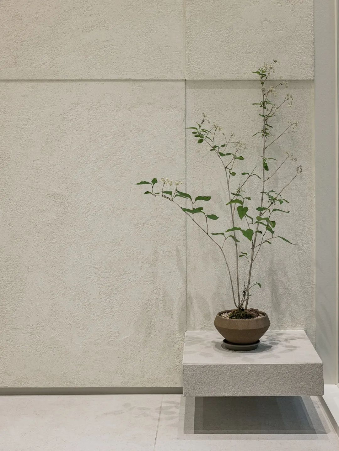 Lashtalk 首尔美容品牌店室内设计丨韩国首尔丨COV STUDIO-0