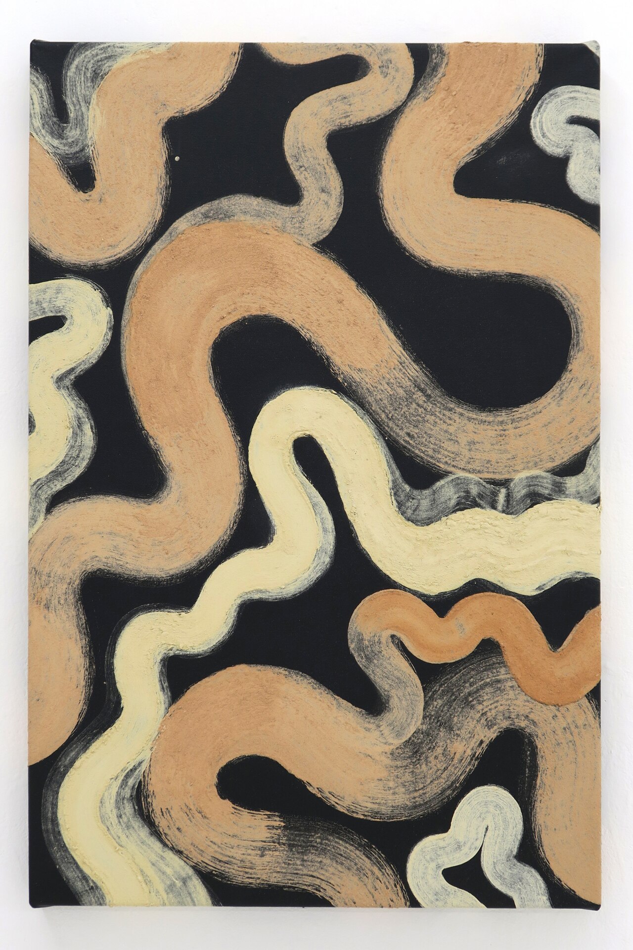 寻根之旅 · 五位澳大利亚艺术家探索身份认同-3