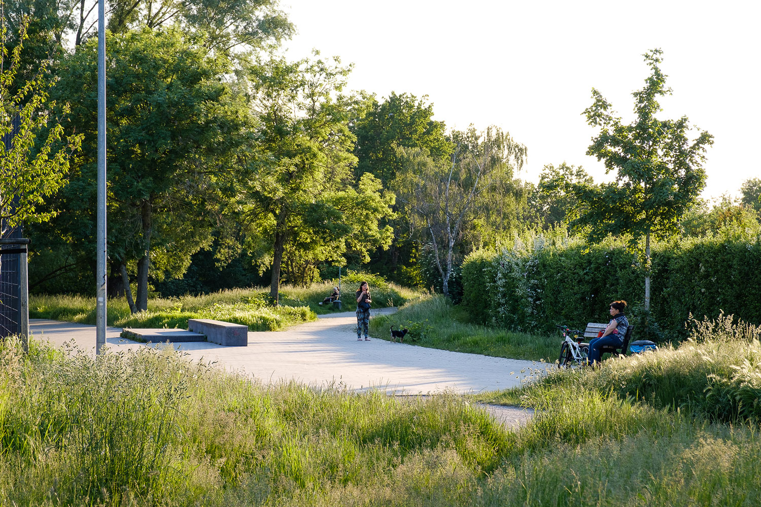 德国达姆施塔特户外空间重塑丨德国杜塞尔多夫-16