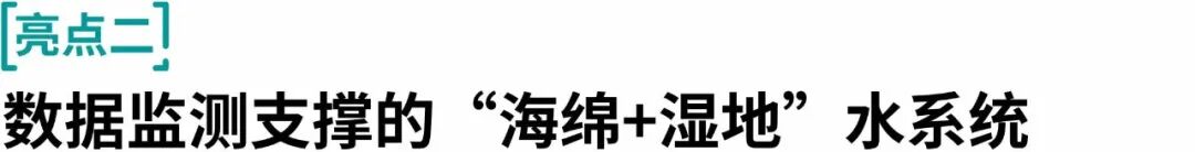 顺德鹭鸟湿地片区景观规划丨中国佛山丨AECOM-58